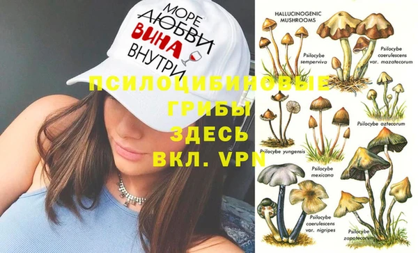 стафф Арсеньев
