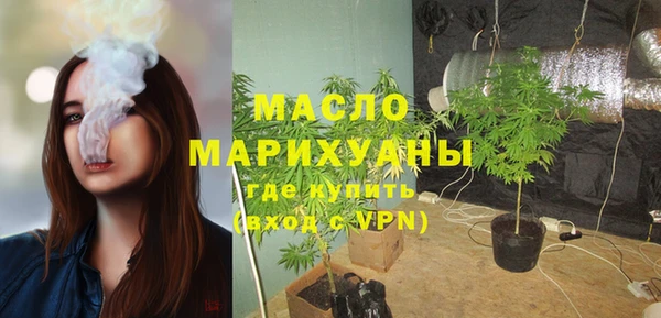 индика Снежногорск