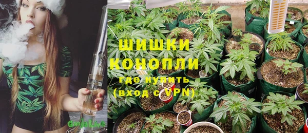 стафф Арсеньев